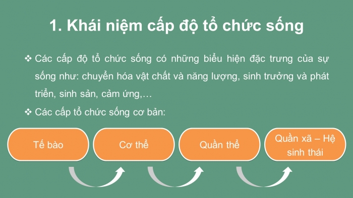 Giáo án và PPT đồng bộ Sinh học 10 chân trời sáng tạo