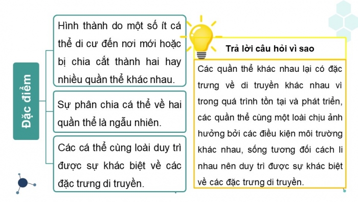 Giáo án và PPT đồng bộ Sinh học 12 kết nối tri thức