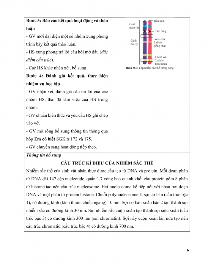 Giáo án và PPT KHTN 9 cánh diều Bài 35: Nhiễm sắc thể và bộ nhiễm sắc thể