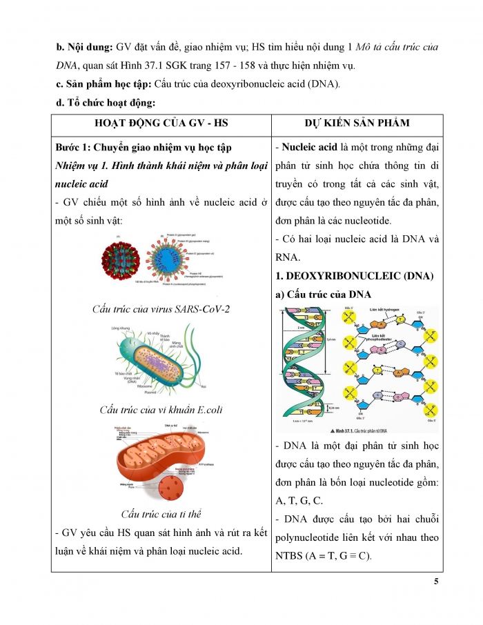 Giáo án và PPT KHTN 9 chân trời Bài 37: Nucleic acid và ứng dụng