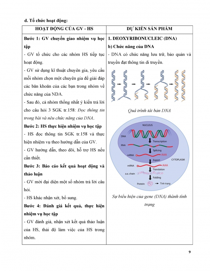 Giáo án và PPT KHTN 9 chân trời Bài 37: Nucleic acid và ứng dụng