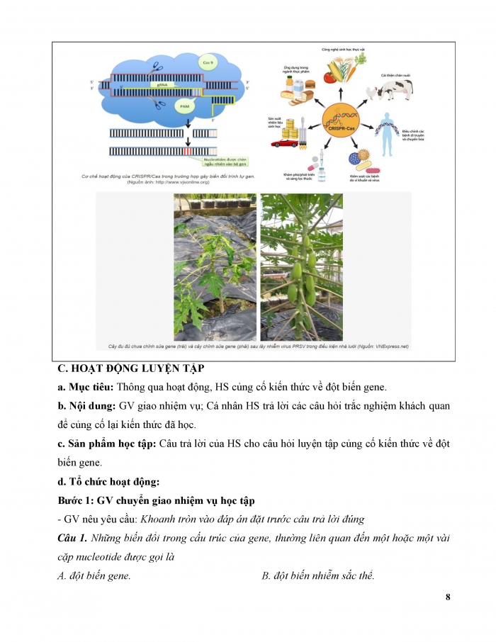 Giáo án và PPT KHTN 9 chân trời Bài 38: Đột biến gene