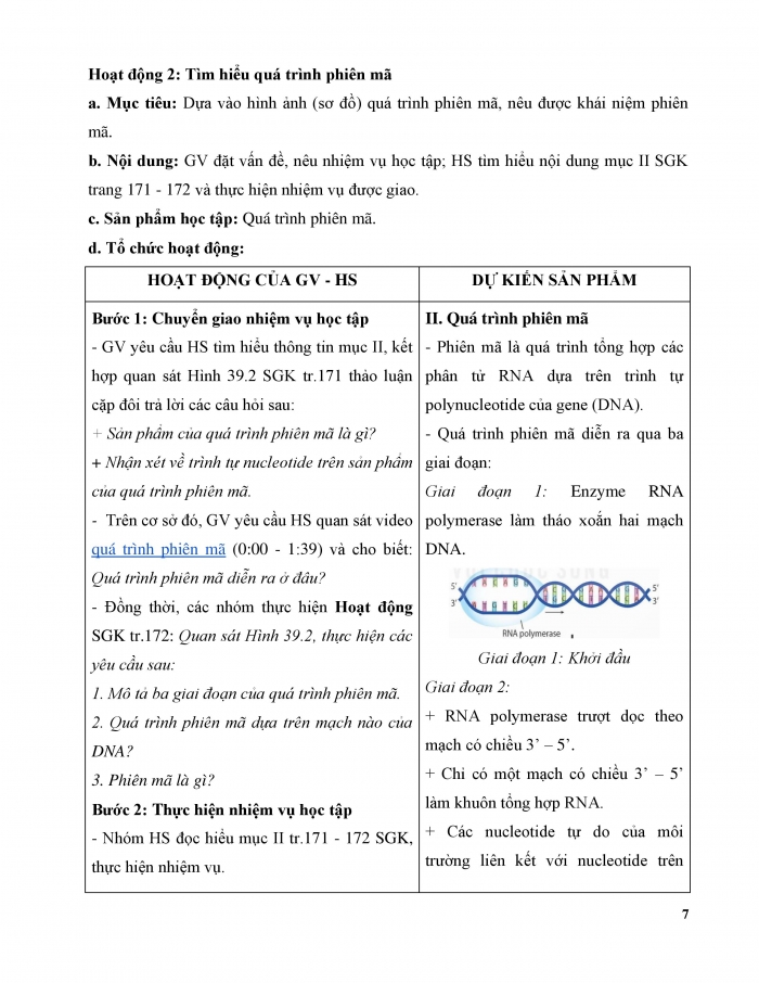 Giáo án và PPT KHTN 9 kết nối Bài 39: Tái bản DNA và phiên mã tạo RNA