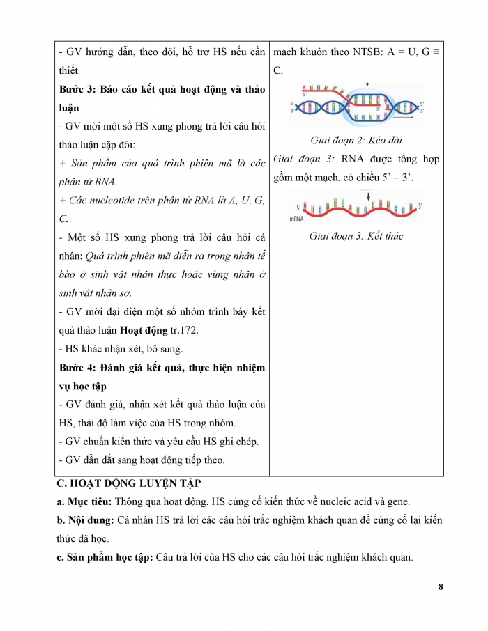 Giáo án và PPT KHTN 9 kết nối Bài 39: Tái bản DNA và phiên mã tạo RNA