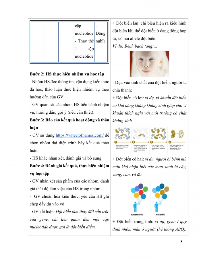 Giáo án và PPT Sinh học 12 kết nối Bài 4: Đột biến gene