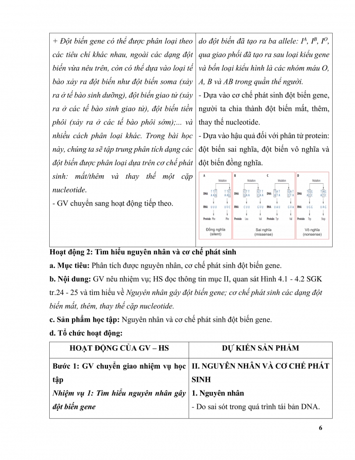 Giáo án và PPT Sinh học 12 kết nối Bài 4: Đột biến gene