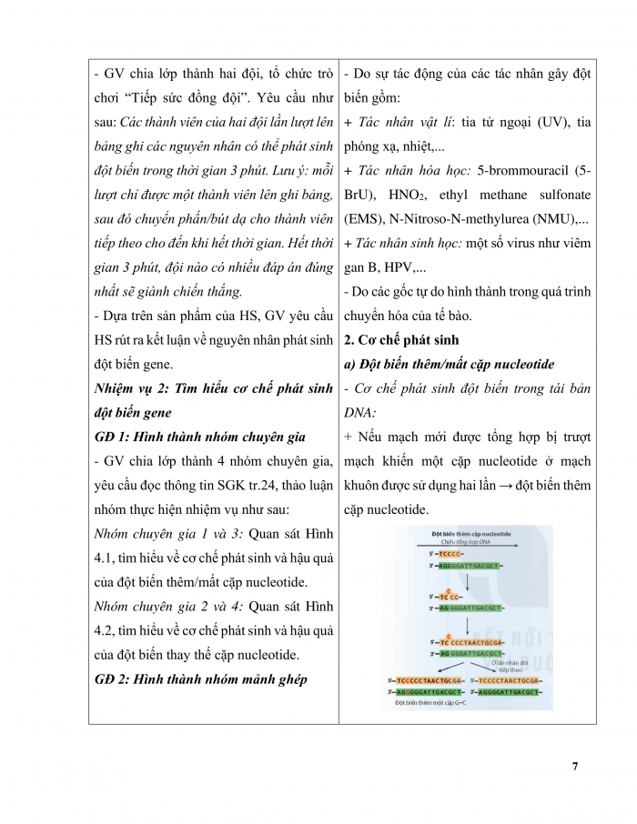 Giáo án và PPT Sinh học 12 kết nối Bài 4: Đột biến gene