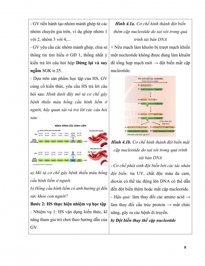 Giáo án và PPT Sinh học 12 kết nối Bài 4: Đột biến gene