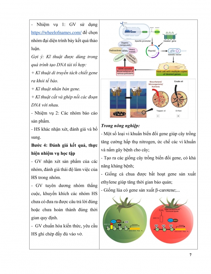 Giáo án và PPT Sinh học 12 kết nối Bài 5: Công nghệ gene