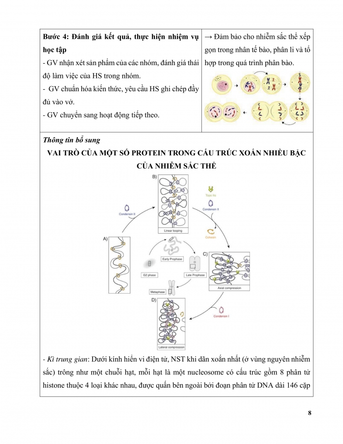 Giáo án và PPT Sinh học 12 chân trời bài 5: Nhiễm sắc thể và đột biến nhiễm sắc thể