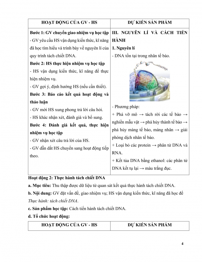 Giáo án và PPT Sinh học 12 kết nối Bài 6: Thực hành Tách chiết DNA