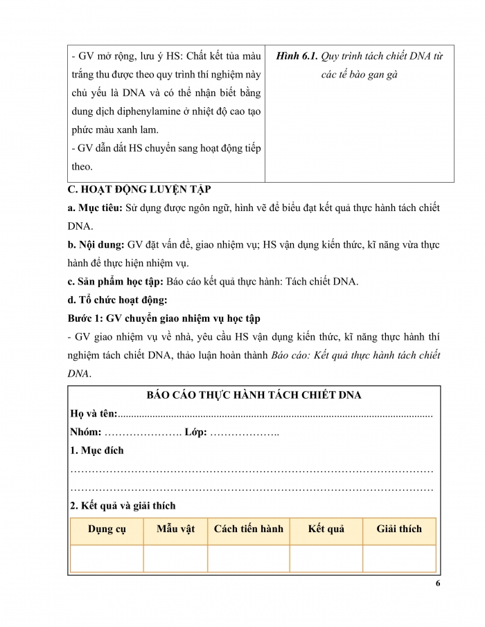 Giáo án và PPT Sinh học 12 kết nối Bài 6: Thực hành Tách chiết DNA