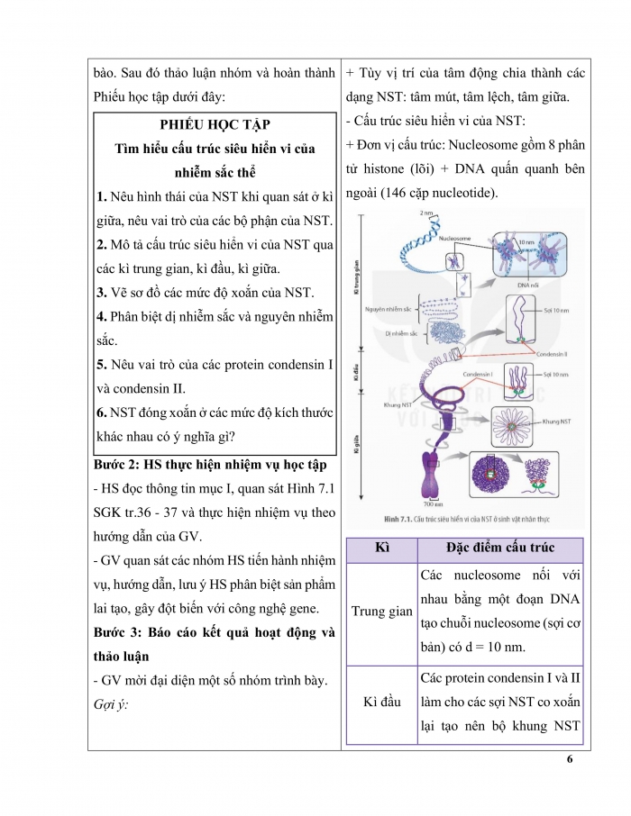 Giáo án và PPT Sinh học 12 kết nối Bài 7: Cấu trúc và chức năng của nhiễm sắc thể