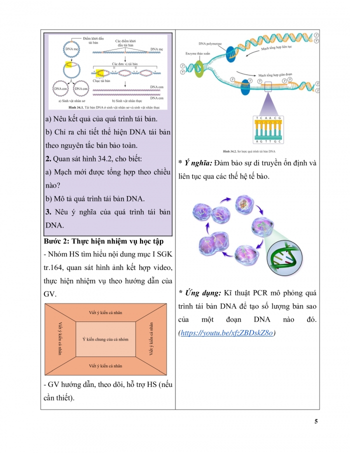 Giáo án và PPT KHTN 9 cánh diều Bài 34: Từ gene đến tính trạng