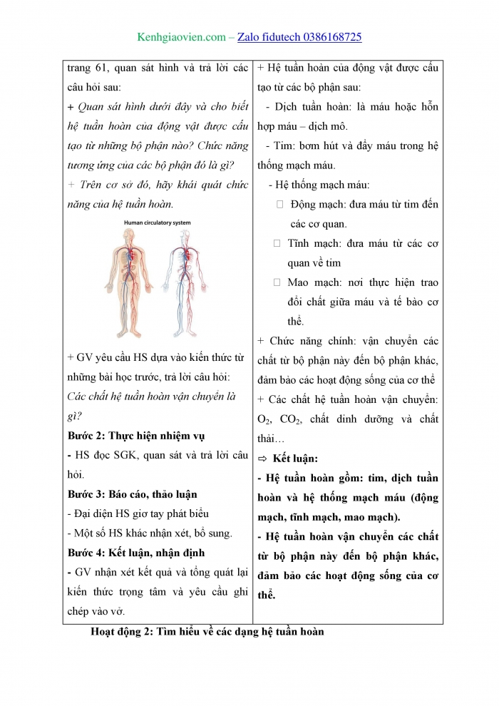 Giáo án và PPT Sinh học 11 kết nối Bài 10: Tuần hoàn ở động vật