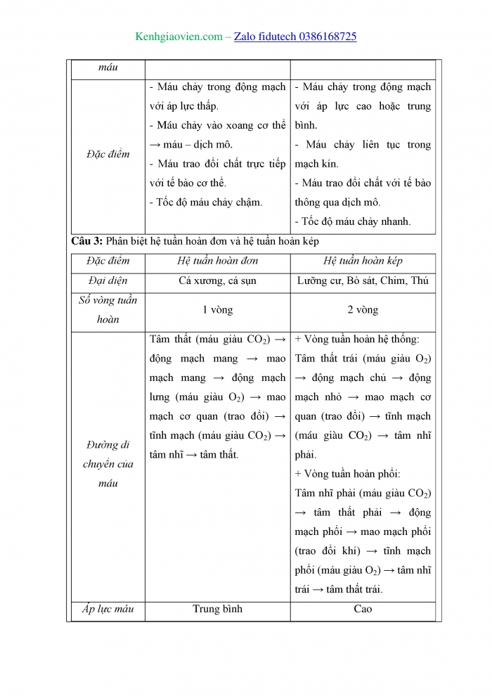 Giáo án và PPT Sinh học 11 kết nối Bài 10: Tuần hoàn ở động vật