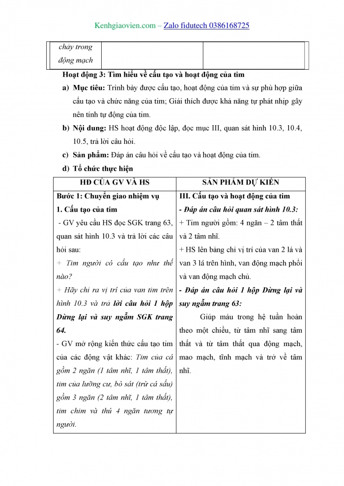 Giáo án và PPT Sinh học 11 kết nối Bài 10: Tuần hoàn ở động vật