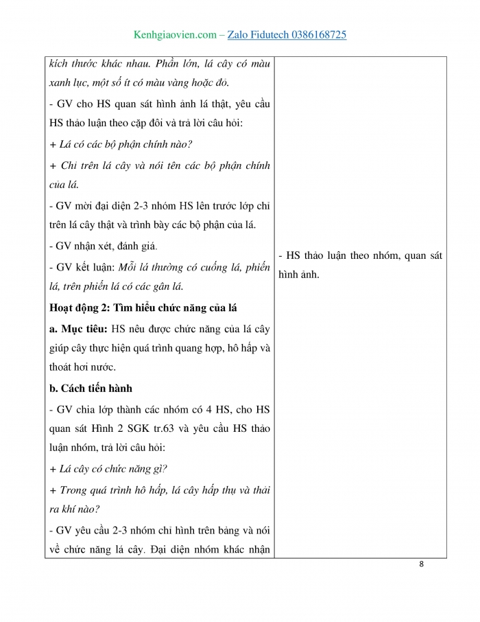 Giáo án và PPT Tự nhiên và Xã hội 3 chân trời Bài 15: Lá, thân, rễ của thực vật