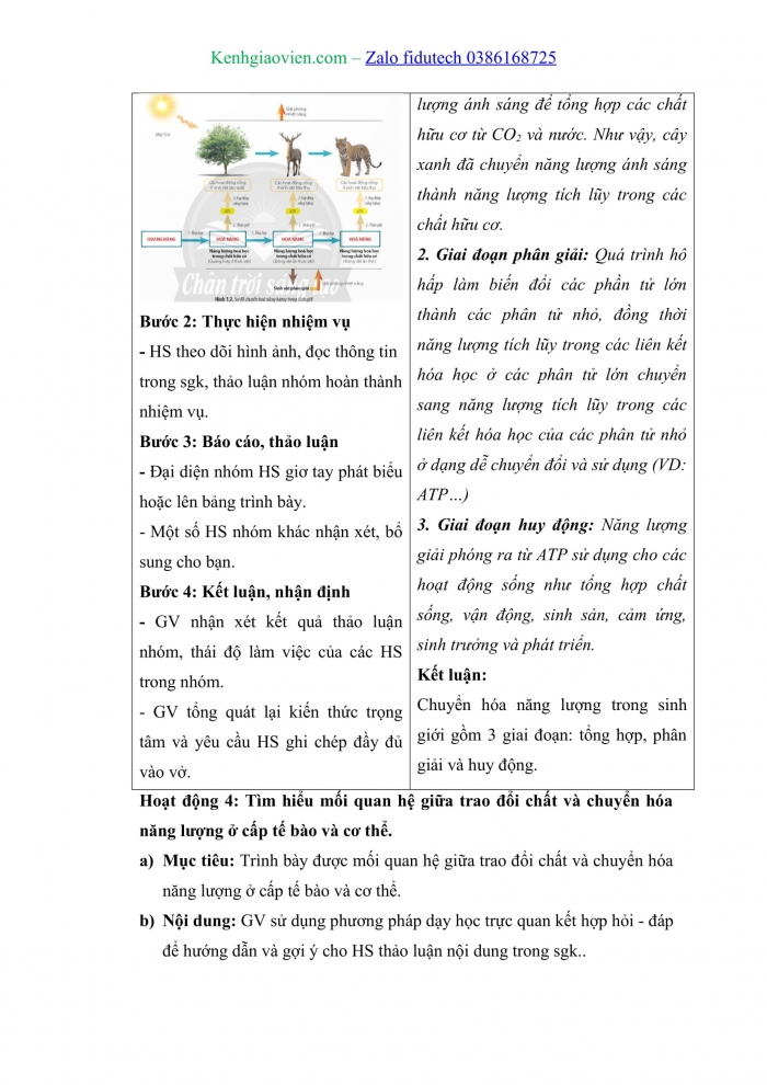 Giáo án và PPT Sinh học 11 chân trời Bài 1: Khái quát về trao đổi chất và chuyển hoá năng lượng ở sinh vật