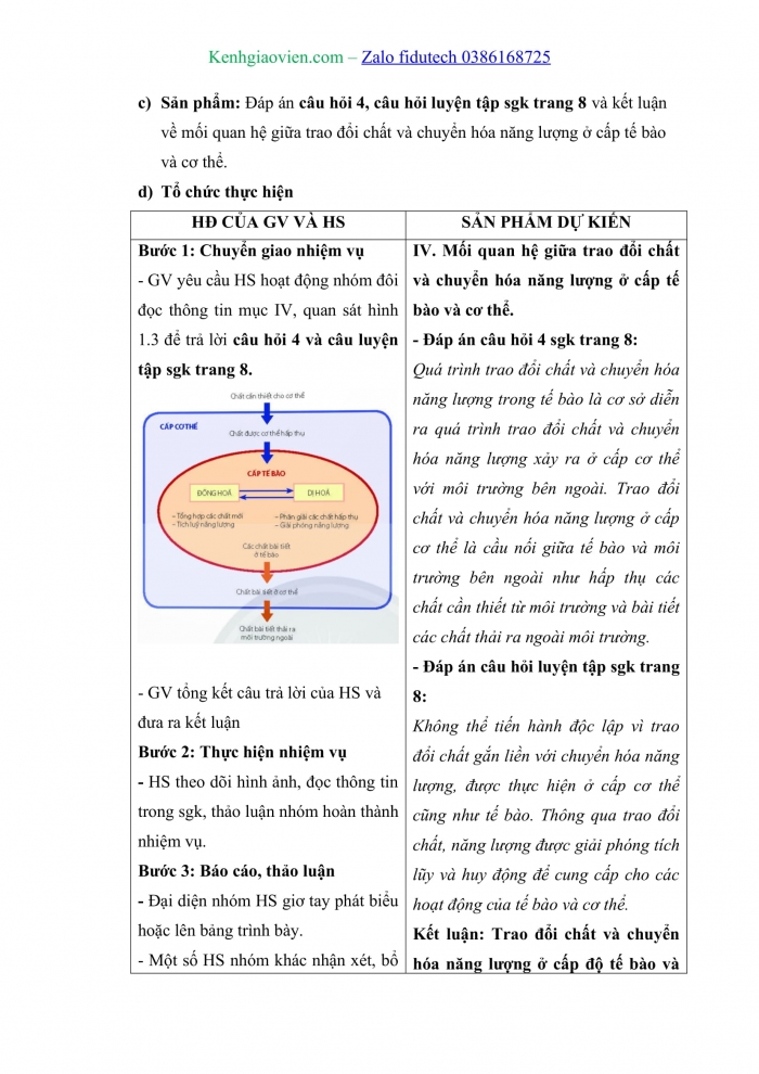 Giáo án và PPT Sinh học 11 chân trời Bài 1: Khái quát về trao đổi chất và chuyển hoá năng lượng ở sinh vật