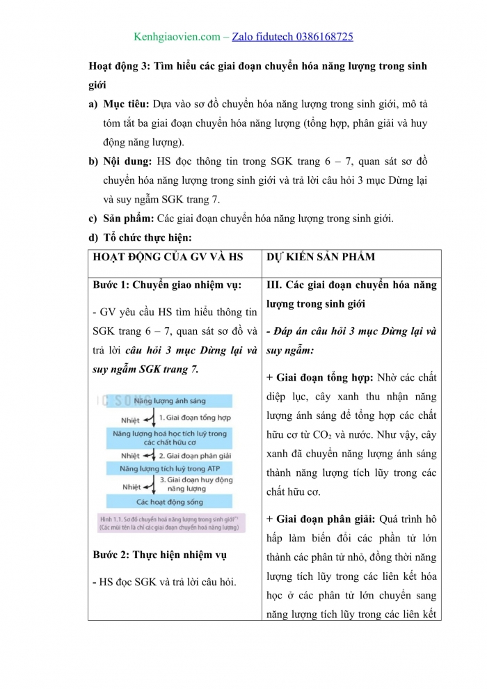 Giáo án và PPT Sinh học 11 kết nối Bài 1: Khái quát về trao đổi chất và chuyển hoá năng lượng