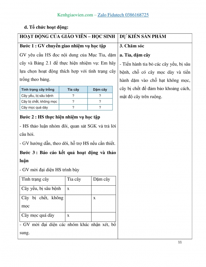 Giáo án và PPT Công nghệ 7 cánh diều Bài 2: Quy trình trồng trọt