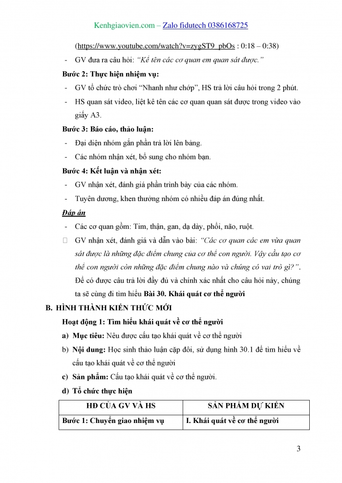 Giáo án và PPT KHTN 8 kết nối Bài 30: Khái quát về cơ thể người