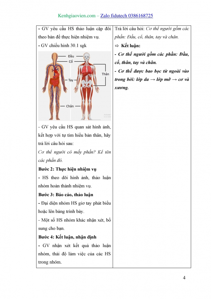 Giáo án và PPT KHTN 8 kết nối Bài 30: Khái quát về cơ thể người