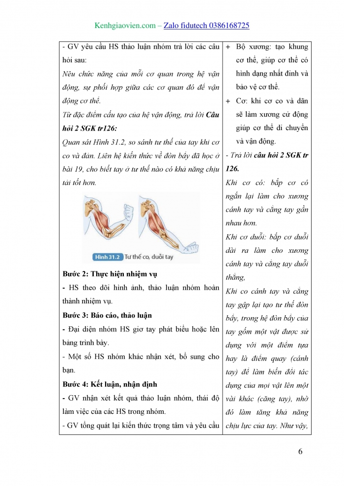 Giáo án và PPT KHTN 8 kết nối Bài 31: Hệ vận động ở người