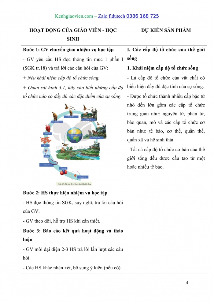 Giáo án và PPT Sinh học 10 kết nối Bài 3: Các cấp độ tổ chức của thế giới sống