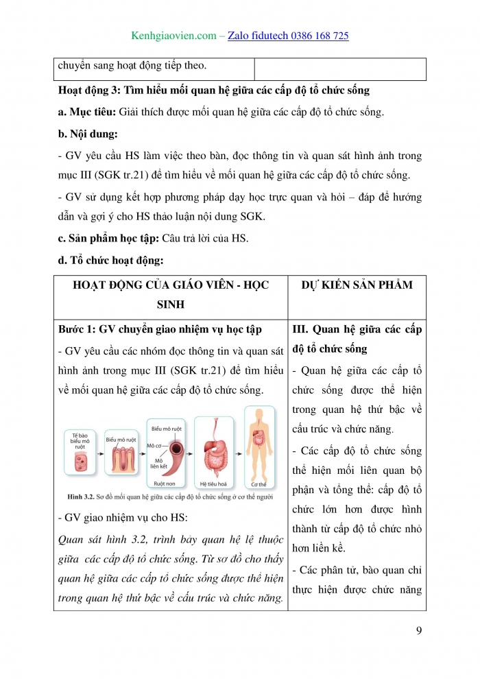 Giáo án và PPT Sinh học 10 cánh diều Bài 3: Giới thiệu chung về các cấp độ tổ chức của thế giới sống