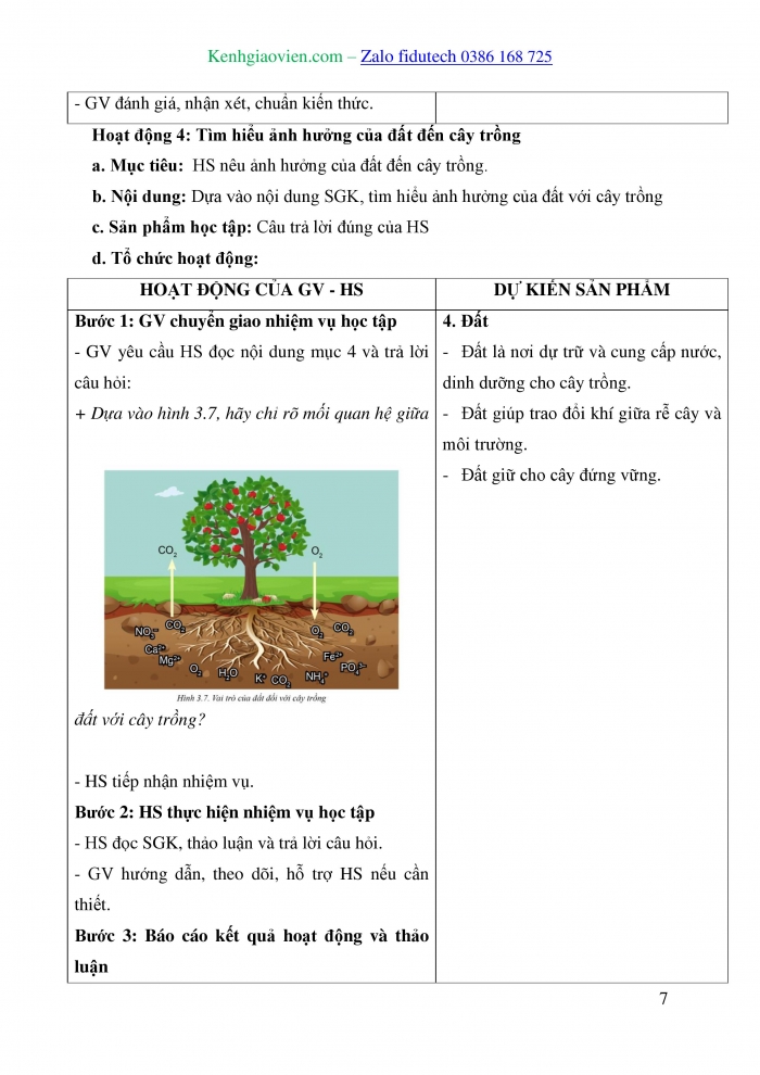 Giáo án và PPT Công nghệ trồng trọt 10 cánh diều Bài 3: Mối quan hệ giữa cây trồng và các yếu tố chính trong trồng trọt