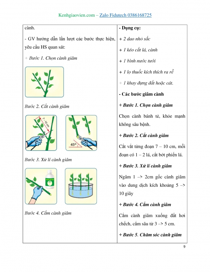 Giáo án và PPT Công nghệ 7 cánh diều Bài 3: Nhân giống cây trồng