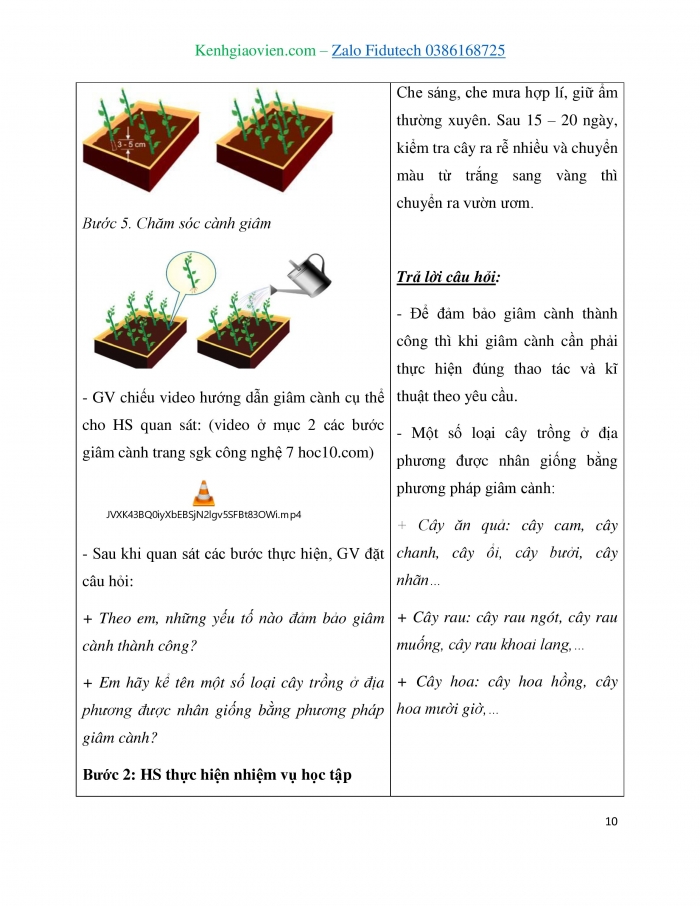 Giáo án và PPT Công nghệ 7 cánh diều Bài 3: Nhân giống cây trồng