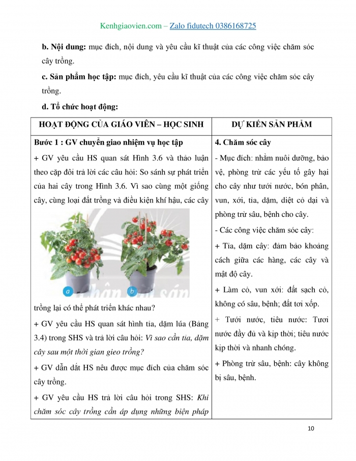 Giáo án và PPT Công nghệ 7 chân trời Bài 3: Quy trình trồng trọt