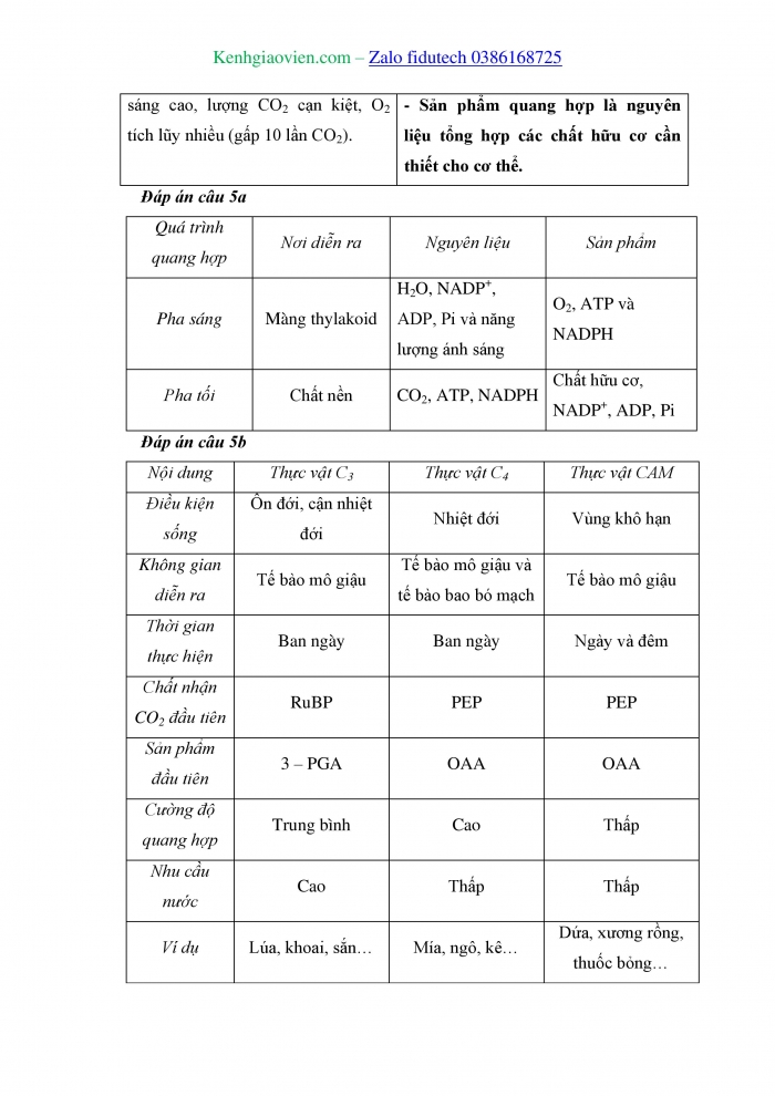 Giáo án và PPT Sinh học 11 kết nối Bài 4: Quang hợp ở thực vật