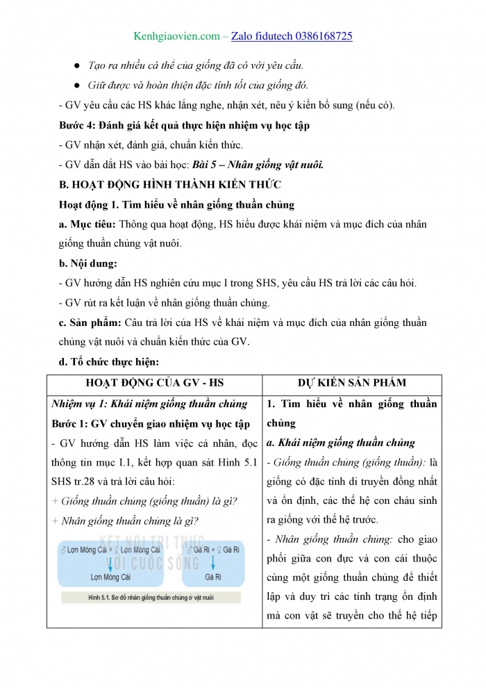 Giáo án và PPT Công nghệ chăn nuôi 11 kết nối Bài 5: Nhân giống vật nuôi