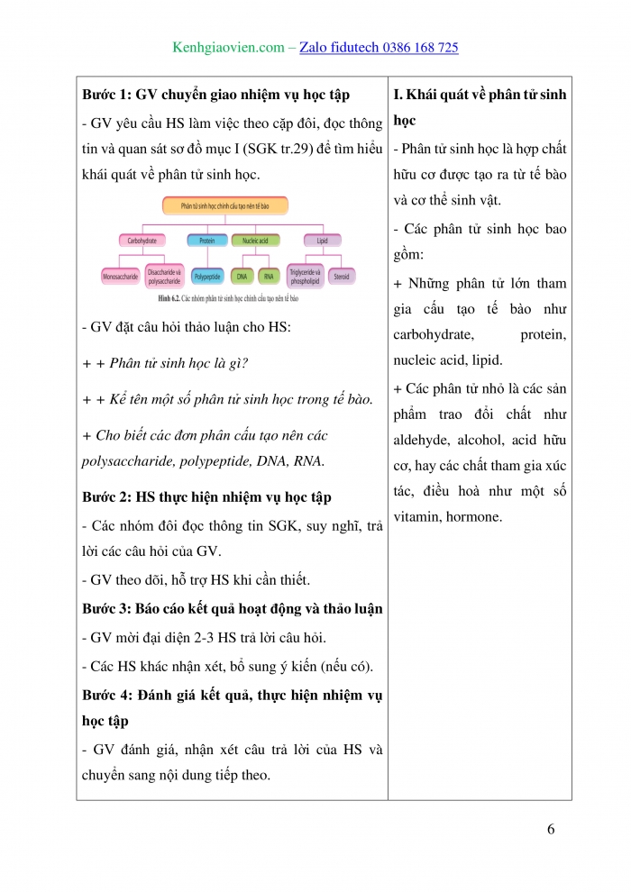 Giáo án và PPT Sinh học 10 cánh diều Bài 6: Các phân tử sinh học