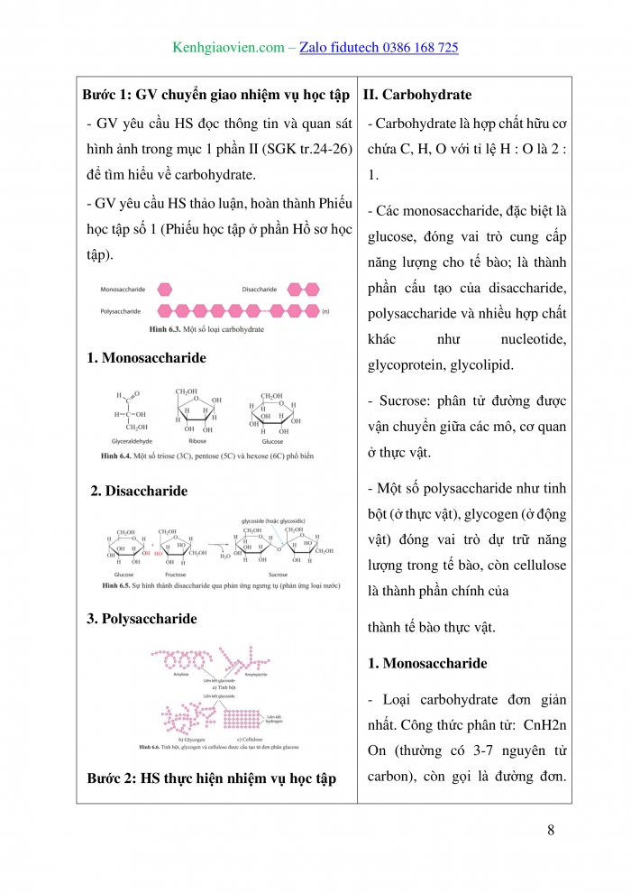 Giáo án và PPT Sinh học 10 cánh diều Bài 6: Các phân tử sinh học