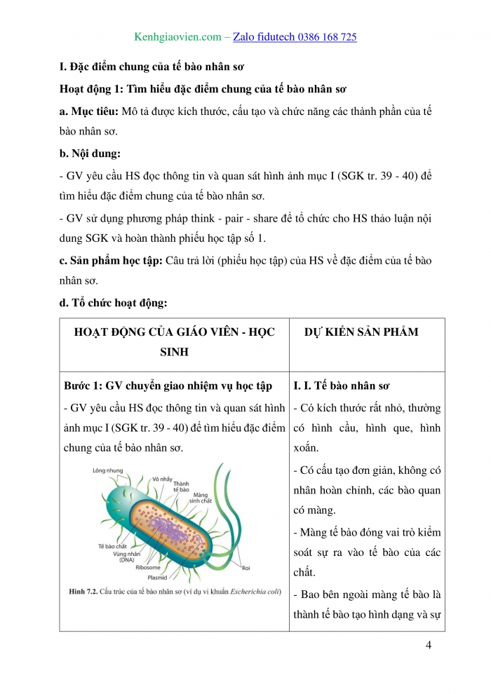 Giáo án và PPT Sinh học 10 cánh diều Bài 7: Tế bào nhân sơ và tế bào nhân thực