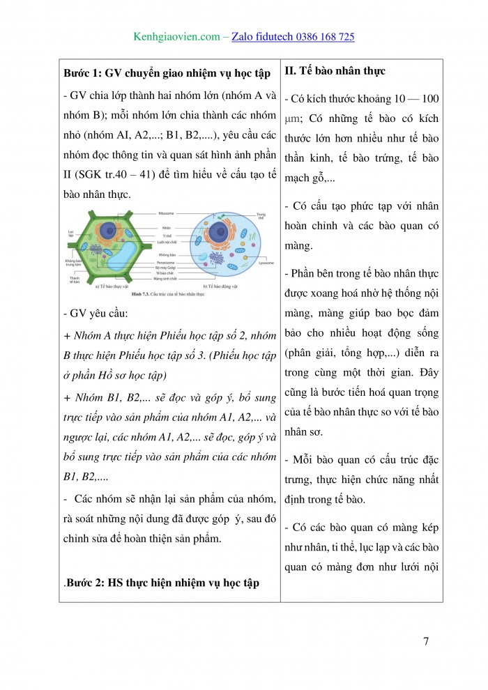 Giáo án và PPT Sinh học 10 cánh diều Bài 7: Tế bào nhân sơ và tế bào nhân thực