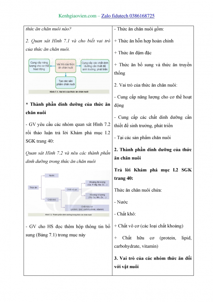 Giáo án và PPT Công nghệ chăn nuôi 11 kết nối Bài 7: Thức ăn và nhu cầu dinh dưỡng của vật nuôi