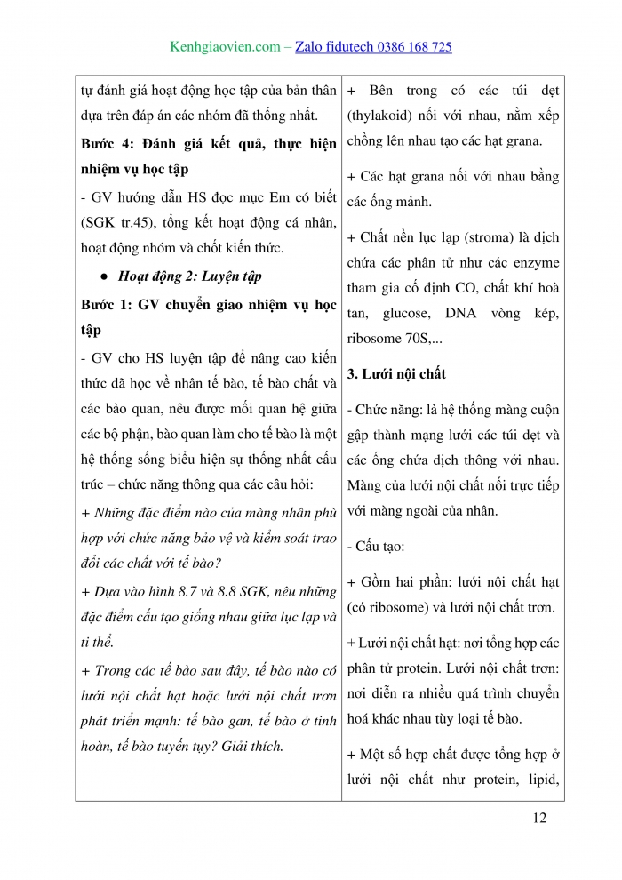 Giáo án và PPT Sinh học 10 cánh diều Bài 8: Cấu trúc của tế bào nhân thực