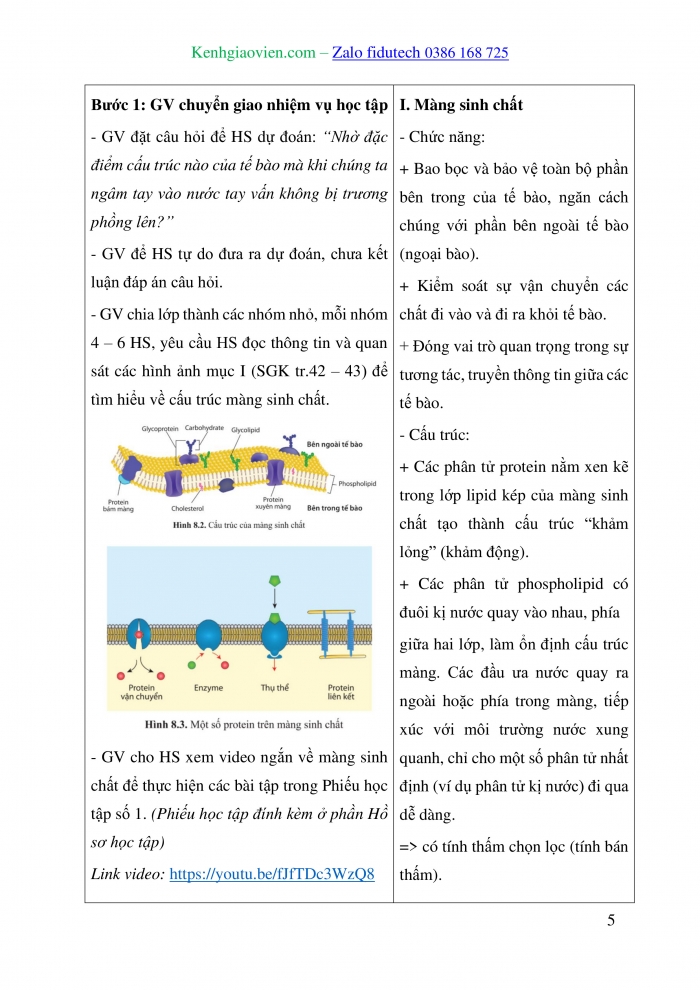 Giáo án và PPT Sinh học 10 cánh diều Bài 8: Cấu trúc của tế bào nhân thực