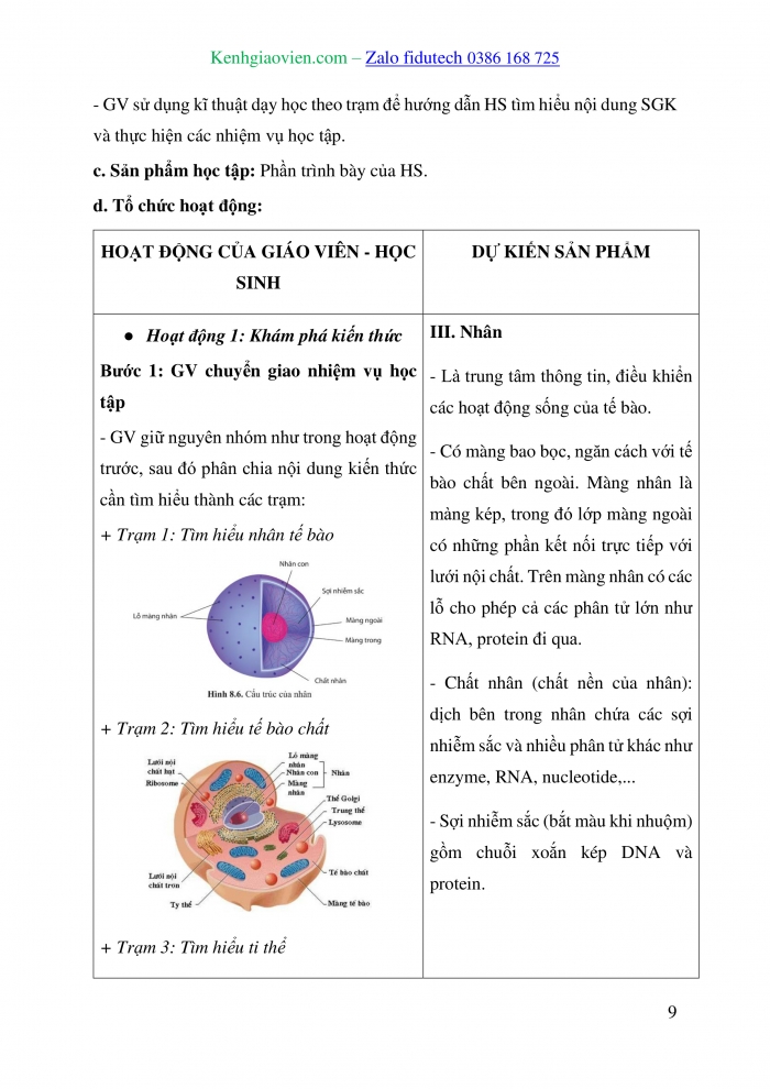 Giáo án và PPT Sinh học 10 cánh diều Bài 8: Cấu trúc của tế bào nhân thực