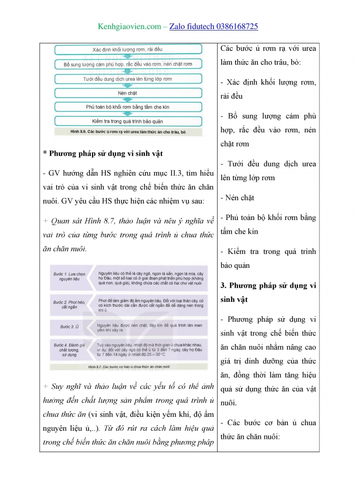 Giáo án và PPT Công nghệ chăn nuôi 11 kết nối Bài 8: Sản xuất và chế biến thức ăn chăn nuôi