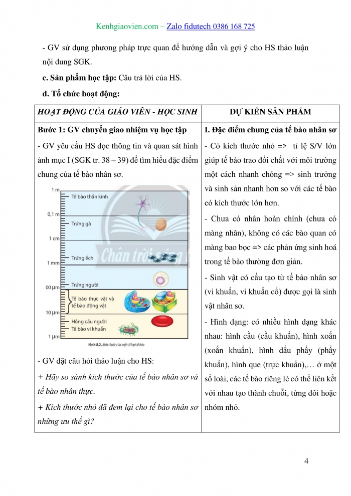 Giáo án và PPT Sinh học 10 chân trời Bài 8: Tế bào nhân sơ