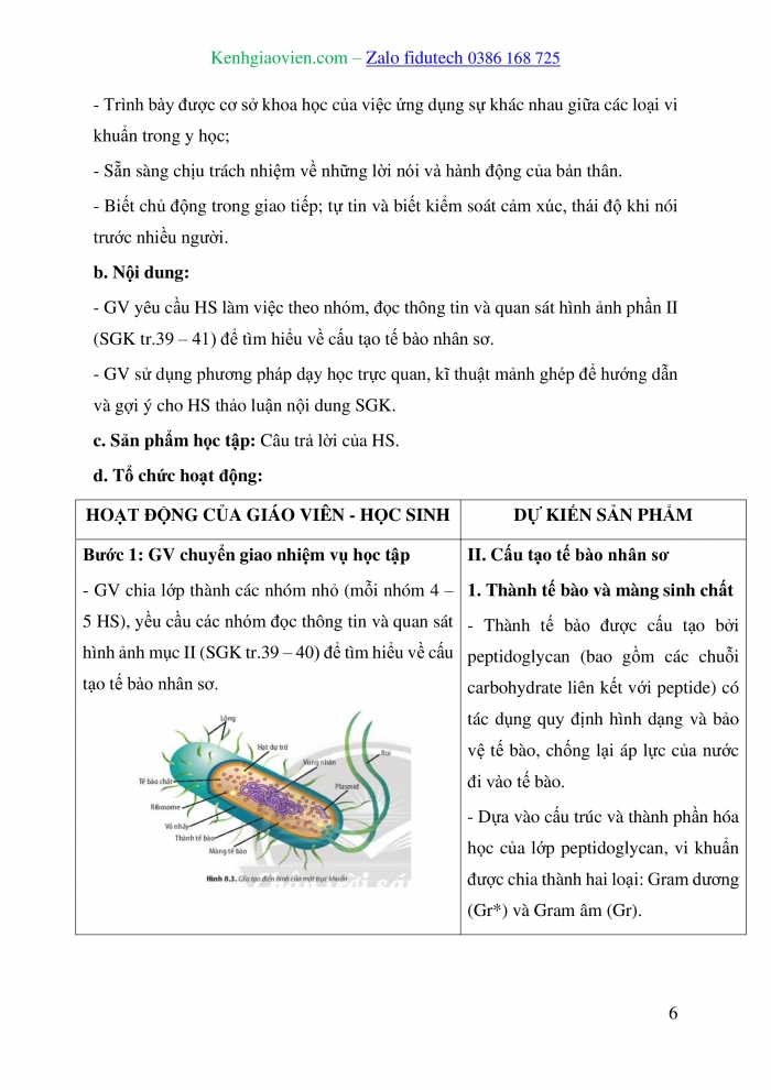 Giáo án và PPT Sinh học 10 chân trời Bài 8: Tế bào nhân sơ