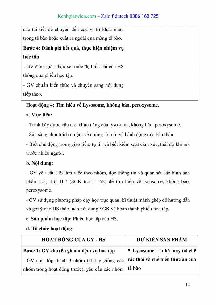 Giáo án và PPT Sinh học 10 kết nối Bài 8: Tế bào nhân thực