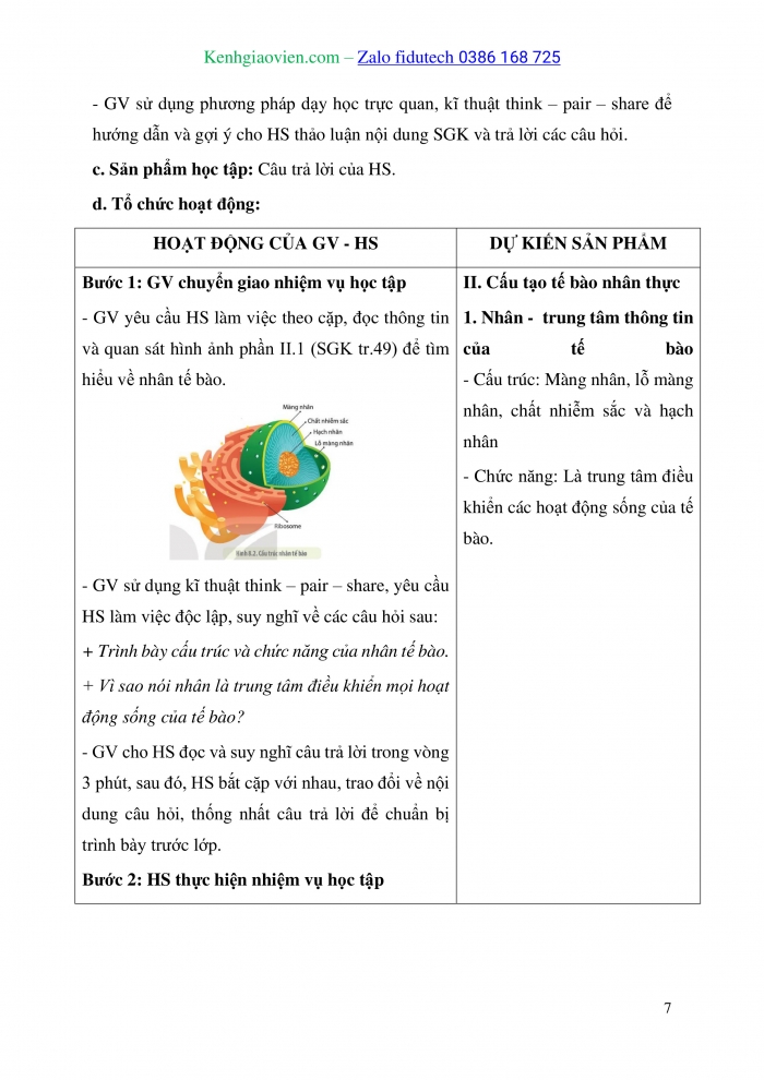 Giáo án và PPT Sinh học 10 kết nối Bài 8: Tế bào nhân thực